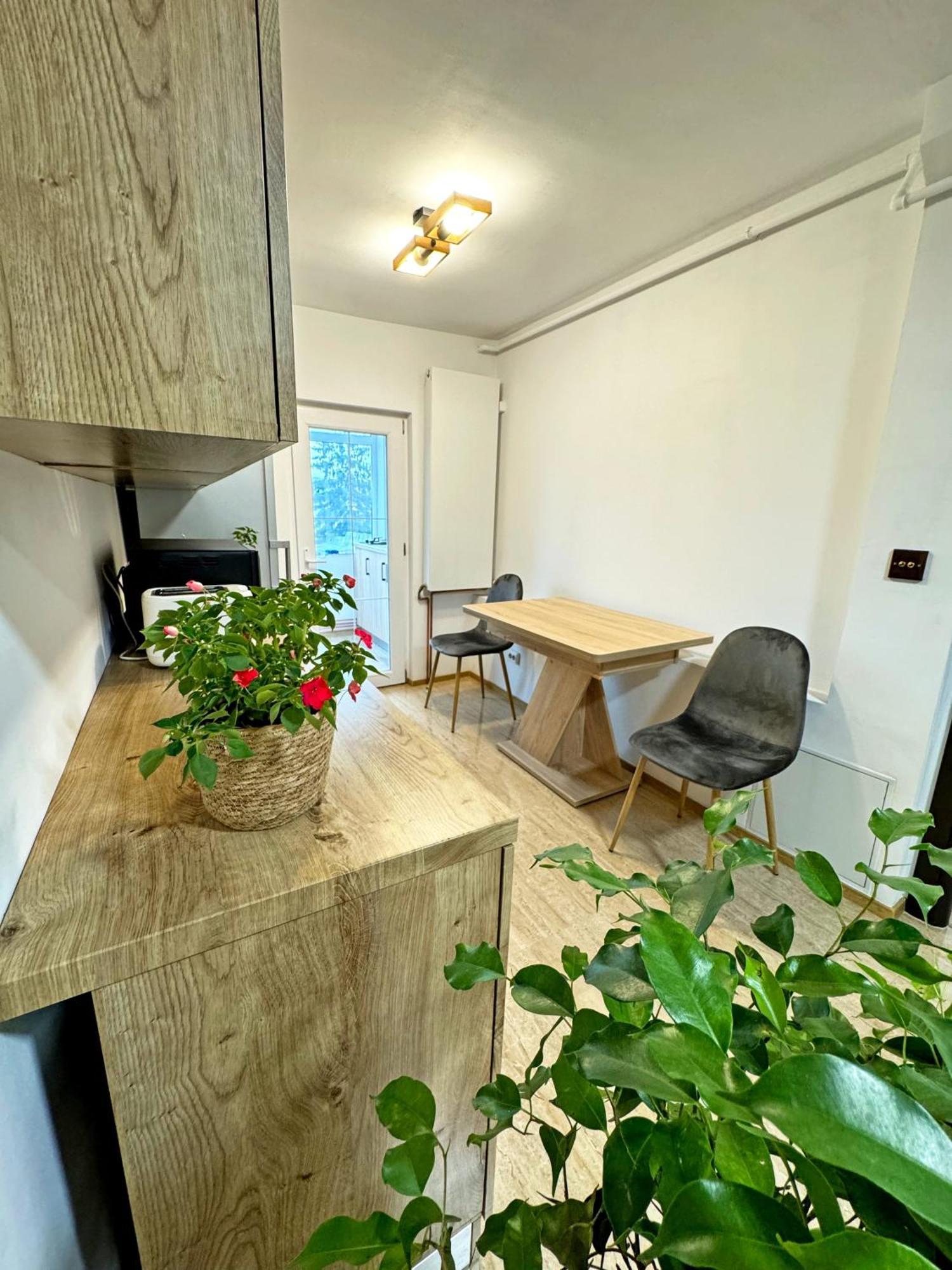 Ultracentral Apartment Târgu Jiu Екстериор снимка